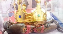 Thông tin mới quan trọng về tìm "vua cua" Cà Mau