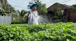 Kỳ vọng mùa hoa kiểng Tết