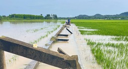 Mưa lớn kéo dài, nhiều xã ở Bà Rịa - Vũng Tàu cũ thiệt hại nặng nề