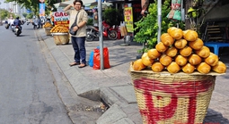 Khuyến cáo quan trọng của Sở An toàn thực phẩm TP HCM