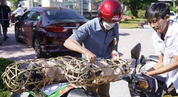 Giảm nghèo bền vững: Bài học kinh nghiệm từ những mô hình hay của thành phố Huế