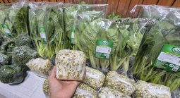 Trồng rau ở sân thượng và ban công chủ yếu để thư giãn, tự cung tự cấp