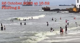 Vụ nước biển Vũng Tàu có màu xanh lá: Công bố nguyên nhân chính thức