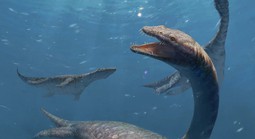 Trung Quốc: Quái vật cổ dài 42 đốt xuất hiện gần Lệ Giang cổ trấn