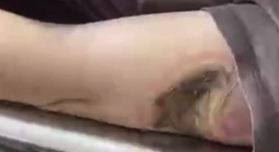 Vợ chồng chủ tiệm tạp hóa ở Tây Ninh bị điện giật chết, bỏ lại 2 con nhỏ