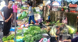 Rau xanh tại TPHCM tăng giá 10-30%, nguồn cung từ Lâm Đồng và miền Tây giảm