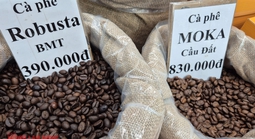 Giá cà phê hôm nay 22-11: Giảm mạnh khi Mỹ xóa thuế cho cà phê Brazil