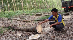 Hơn 300 tỉ đồng giải phóng mặt bằng làm cao tốc TP HCM - Thủ Dầu Một - Chơn Thành qua Đồng Nai