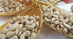 Ngành điều VIệt Nam làm nên "kỳ tích"