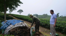 CUỘC THI LÒNG TỐT QUANH TA LẦN 4: Cựu chiến binh biến rác thải thành "vàng"