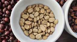 Giá cà phê hôm nay 23-11: Một tuần bão tố