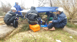 Ứng phó thiên tai: Chính phủ hành động quyết liệt, yêu cầu đảm bảo hạ tầng thông tin an toàn