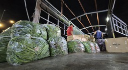 Những ngày chưa từng có của chợ đầu mối rau lớn nhất TPHCM