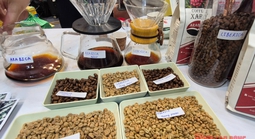 Giá cà phê hôm nay 24-11: Tuần mới sẽ ra sao?