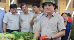 Ra chợ thấy giá rau tăng chóng mặt, Bí thư Tỉnh uỷ Khánh Hoà chỉ đạo nóng