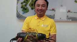 Tiết lộ bất ngờ về giống cua vừa... đăng quang "vua cua" Cà Mau