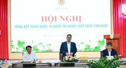 Hơn 4.700 trẻ em Việt Nam được giải quyết làm con nuôi ở nước ngoài