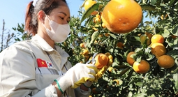 Lao động EPS cần chuẩn bị gì trước khi sang Hàn Quốc làm việc?