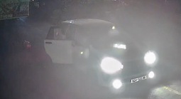 Camera an ninh bắt trọn khoảnh khắc đối tượng đi ô tô nhanh tay trộm chó ở Tây Ninh