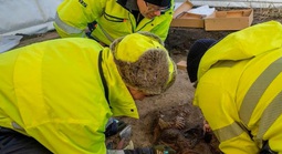 Mộ phần "công chúa Viking" 1.200 năm chứa điều không thể giải thích