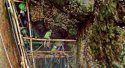 Yến sào Khánh Hòa tham gia cứu hộ, cứu trợ kịp thời cho bà con và CB-CNV vùng ngập lũ