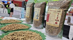 Giá cà phê hôm nay 28-11: Tăng trở lại, Malaysia mê cà phê Việt