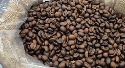 Giá cà phê hôm nay 27-11: Đảo chiều giảm trở lại