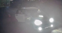 Vụ trộm chó bằng ôtô ở Tây Ninh: Bắt 1 đối tượng, mở rộng điều tra