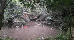 Thương tâm bé trai 5 tuổi ở TPHCM tử vong vì ao nước phía sau nhà trọ