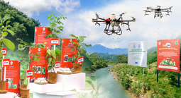 OMO đạt mốc mục tiêu trồng 1 triệu cây xanh, lan tỏa tinh thần sống xanh đến hàng triệu người Việt