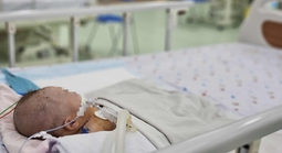 Loại dịch bệnh nguy hiểm diễn biến khó lường, chớ nên chủ quan