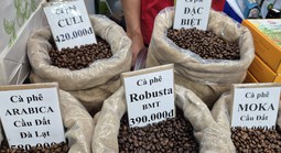 Giá cà phê hôm nay 29-11: Thêm phiên tăng và định hướng mới của cà phê Việt