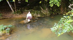 Có một suối "cá thần" khác ở Thanh Hóa mà nhiều người chưa biết