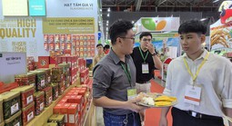 Kinh nghiệm làm hàng quà Tết khi khởi nghiệp