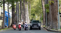 Dự báo thời tiết hôm nay, 1-12: TPHCM và Nam Bộ có nắng với nhiệt độ cao