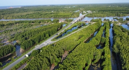 Cú hích từ ngày hội cua