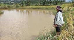 Thủy điện tích nước làm ngập đất sản xuất nhưng suốt nhiều năm "không thiện chí" đền bù!