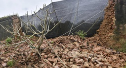 Giám đốc Trung tâm Bảo tồn Di tích Cố đô Huế tiết lộ hiện tượng trước khi tường Hoàng thành sập 