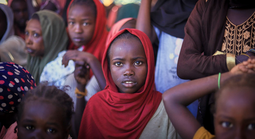 Thực hư những "cánh đồng hãi hùng" ở Sudan?