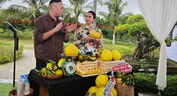 Đưa vườn cam, dưa kim hoàng hậu vùng cao lên sóng livestream