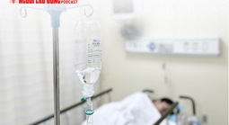 Công bố nguyên nhân vụ ngộ độc bánh mì Cô Bích