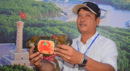 Sắp diễn ra ngày hội cua, cua biển Cà Mau tăng giá mạnh