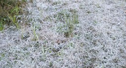 Băng giá phủ trắng đỉnh núi khi nền nhiệt giảm dưới 0°C