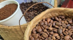 Giá cà phê hôm nay 1-12: Dồn dập thu hoạch và khuyến cáo quan trọng