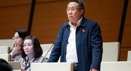 Đại biểu Quốc hội nêu bất cập trong tách thửa và chuyển đất nông nghiệp sang đất ở