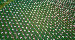 Xác nhận kỷ lục với 1.111 Trà nương dâng trà