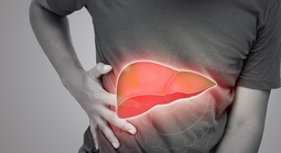 Mắc bệnh gan nhiễm mỡ vì thứ tưởng rằng "lành mạnh"