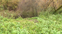 Án mạng rúng động ngôi làng nhỏ ở Pháp