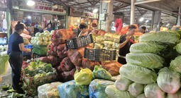 Giá rau, trái cây ở chợ đầu mối bắt đầu rẻ