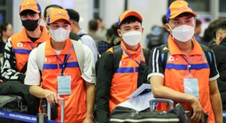 Colab lên tiếng về chiêu mạo danh lừa tiền lao động đi Hàn Quốc